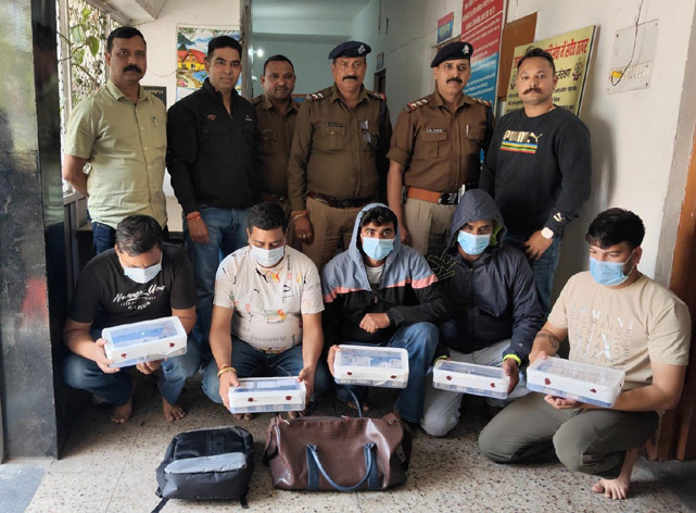 मैच में लगा रहे थे ऑनलाइन सट्टा, सट्टा किंग समेत 5 पकड़े