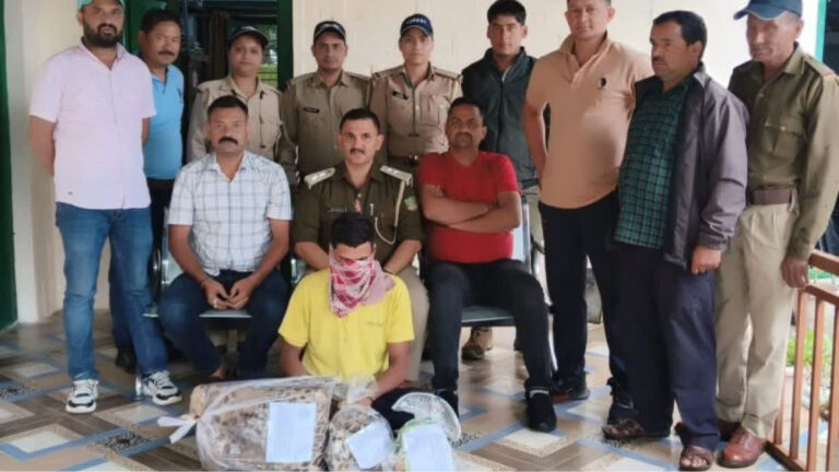 एसटीएफ के हत्थे चढ़ा वन्य जीव तस्कर, गुलदार की दो खाल बरामद