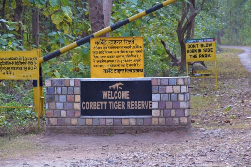 Dehradun News: सीटीआर में खुलेंगे आउटलेट, आजीविका से जुड़ेंगे स्थानीय लोग