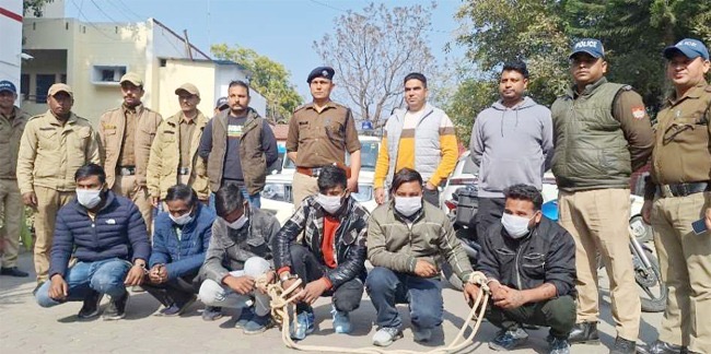 Nainital: नैनीताल पुलिस ने साइबर फ्रॉड के मास्टरमाइंड समेत 6 ठगों को दबोचा, फर्जी दस्तावेजों का जाल किया बेनकाब