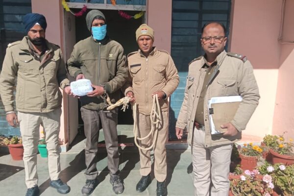 Nainital: मुक्तेश्वर में 1.2 किलो चरस के साथ तस्कर गिरफ्तार, पुलिस की सख्ती का असर