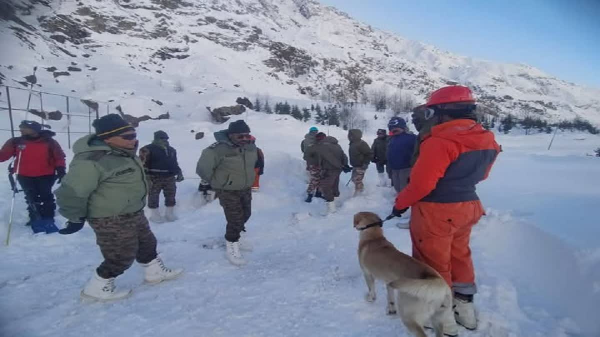 Uttarakhand: माणा एवलॉन्च में 53 मजदूरों का रेस्क्यू, 7 की मौत, बचाव अभियान जारी