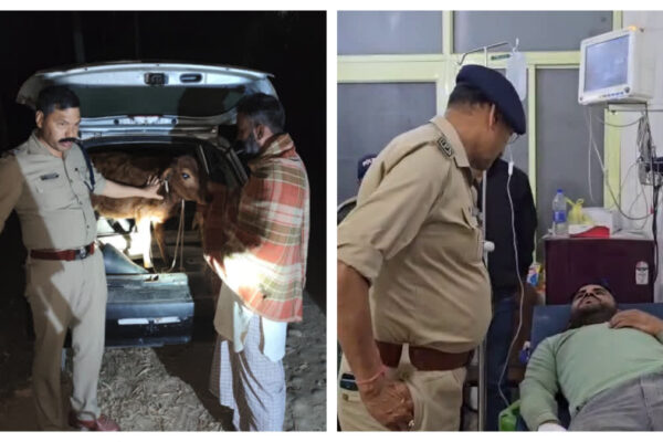 Haridwar: गौ तस्करों और पुलिस के बीच मुठभेड़, एक तस्कर गिरफ्तार, दो फरार