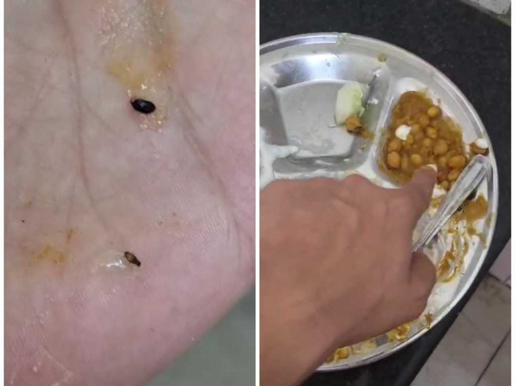 Haldwani: राजकीय मेडिकल कॉलेज हल्द्वानी की मेस फिर विवादों में, छात्रों को परोसे गए खाने में मिले कीड़े