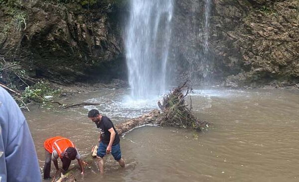 Dehradun: चकराता टाइगर फॉल पर पेड़ गिरने से दो पर्यटकों की मौत, चार घायल