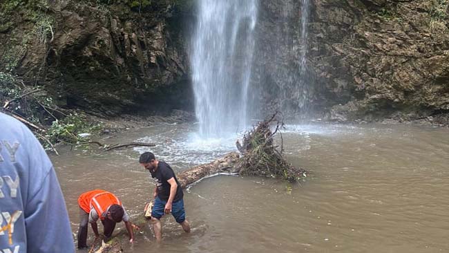 Dehradun: चकराता टाइगर फॉल पर पेड़ गिरने से दो पर्यटकों की मौत, चार घायल