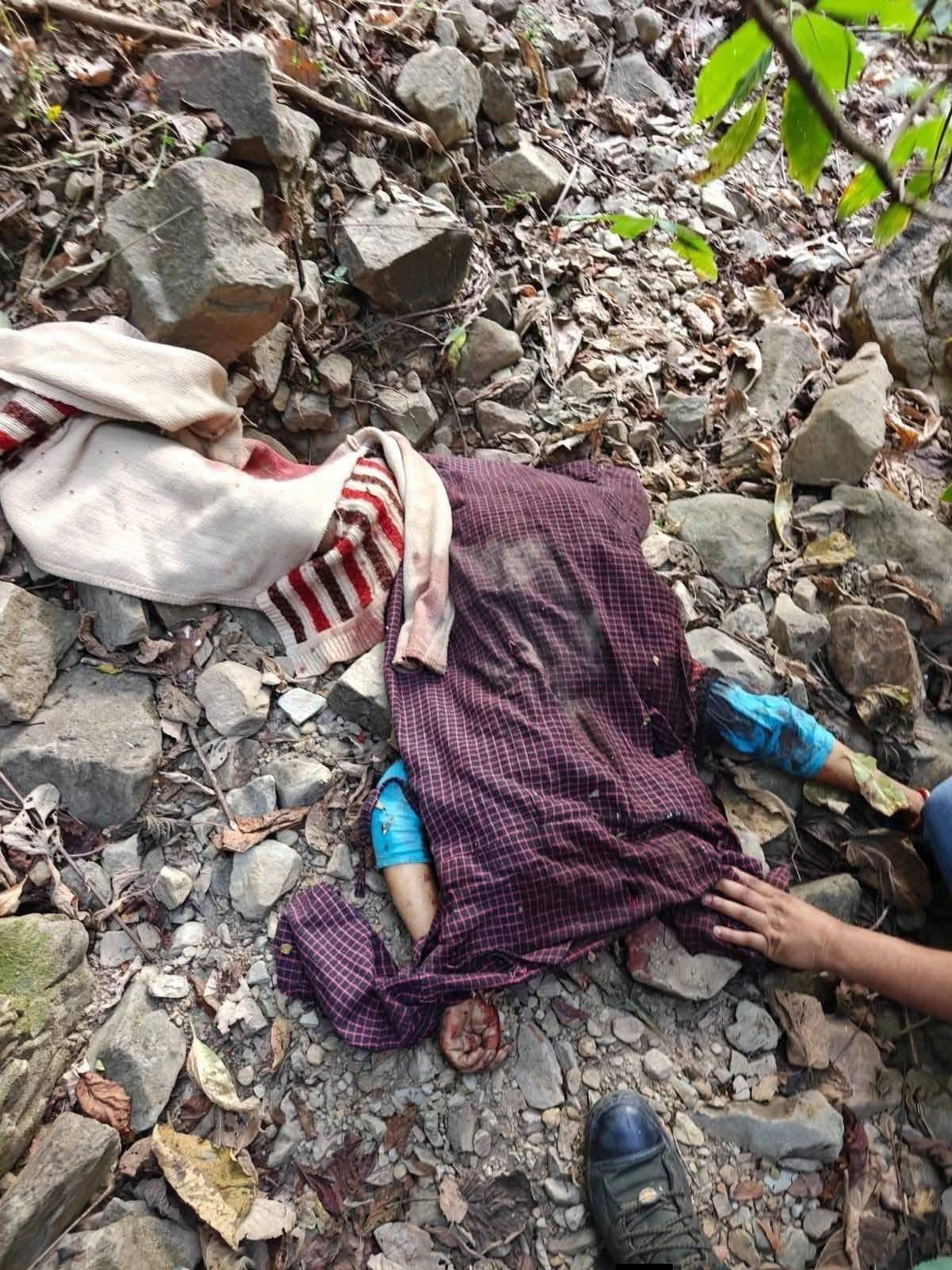 Haldwani: हल्द्वानी के पनियाली में बाघ का घातक हमला, चारा लेने गई महिला की ली जान