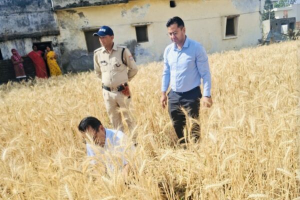 Haldwani: हल्द्वानी में रबी फसल का वैज्ञानिक आकलन, डीएम रयाल ने किया क्रॉप कटिंग प्रयोग