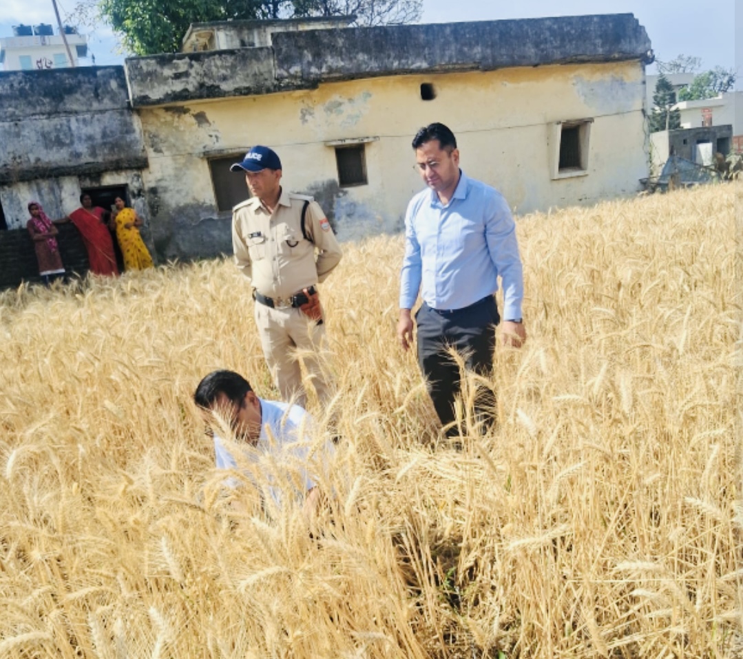 Haldwani: हल्द्वानी में रबी फसल का वैज्ञानिक आकलन, डीएम रयाल ने किया क्रॉप कटिंग प्रयोग