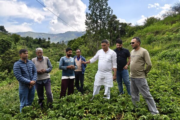 Bhimtal: ओलावृष्टि से तबाह फसलों का मंत्री राम सिंह कैड़ा ने लिया जायजा, किसानों को मुआवजा दिलाने के दिए निर्देश