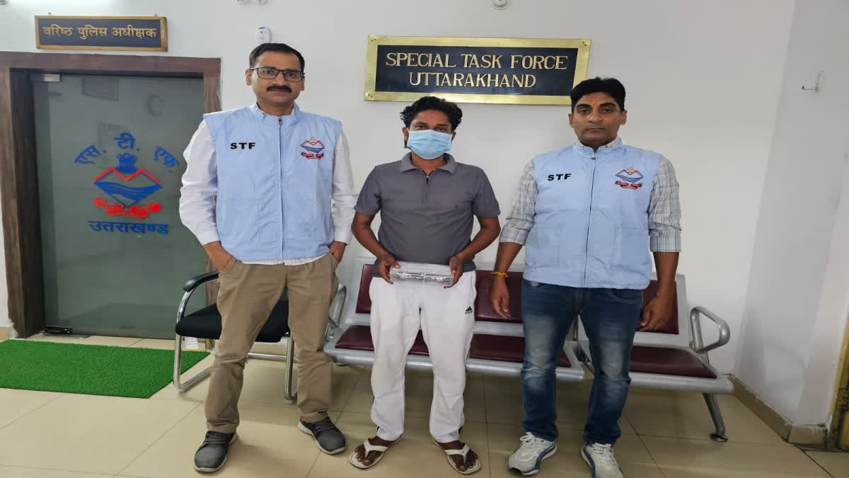 Haridwar: 35 लाख की ट्रामाडोल तस्करी मामले में एसटीएफ की बड़ी कार्रवाई, सप्लाई नेटवर्क का सक्रिय सदस्य गिरफ्तार
