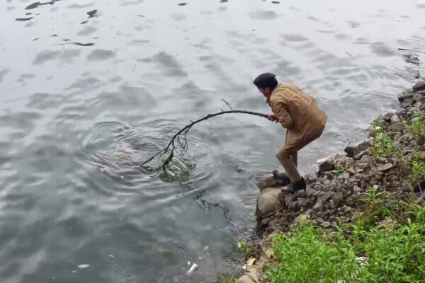 Nainital: नैनी झील से लगातार तीसरा शव मिलने से सनसनी, सुरक्षा व्यवस्था पर उठे सवाल