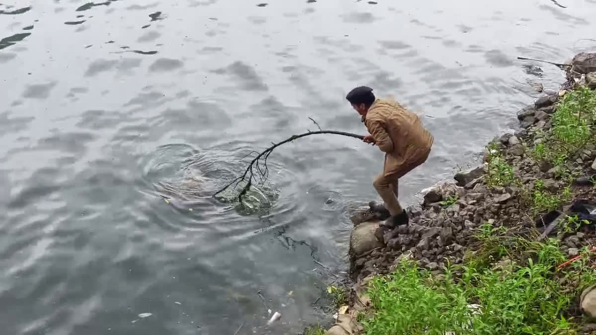 Nainital: नैनी झील से लगातार तीसरा शव मिलने से सनसनी, सुरक्षा व्यवस्था पर उठे सवाल