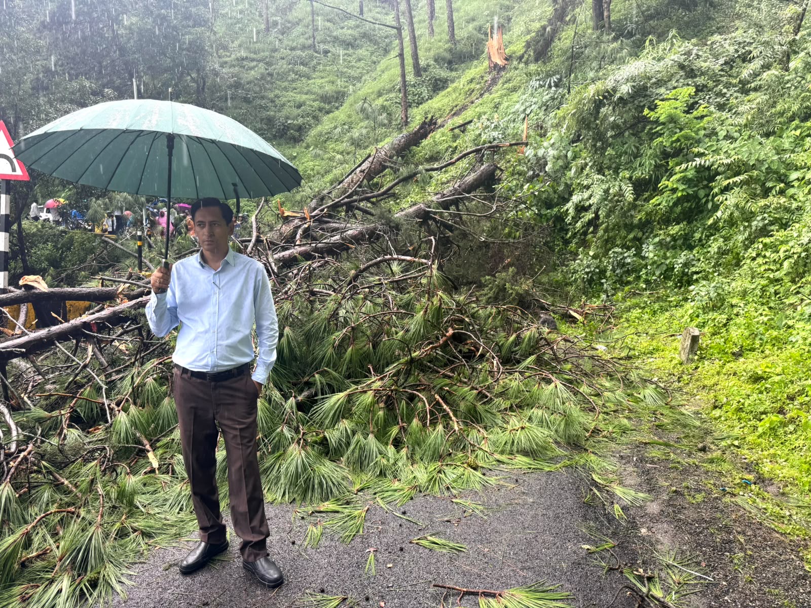 Nainital: हल्द्वानी नैनीताल मार्ग पर चीड़ का पेड़ गिरने से यातायात बाधित, आयुक्त दीपक रावत ने मौके से संभाला मोर्चा