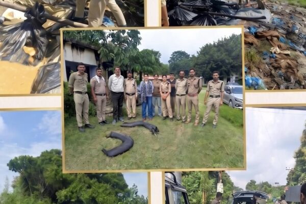 Nainital: रामनगर में आबकारी विभाग का बड़ा एक्शन, 125 लीटर कच्ची शराब बरामद और 12 हजार किलो लहन नष्ट