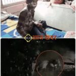 Nainital: नैनीताल में मासूम पर गुलदार का जानलेवा हमला, हिम्मत दिखाकर भिड़ा 10 वर्षीय बच्चा तो ग्रामीणों को देख भागा तेंदुआ