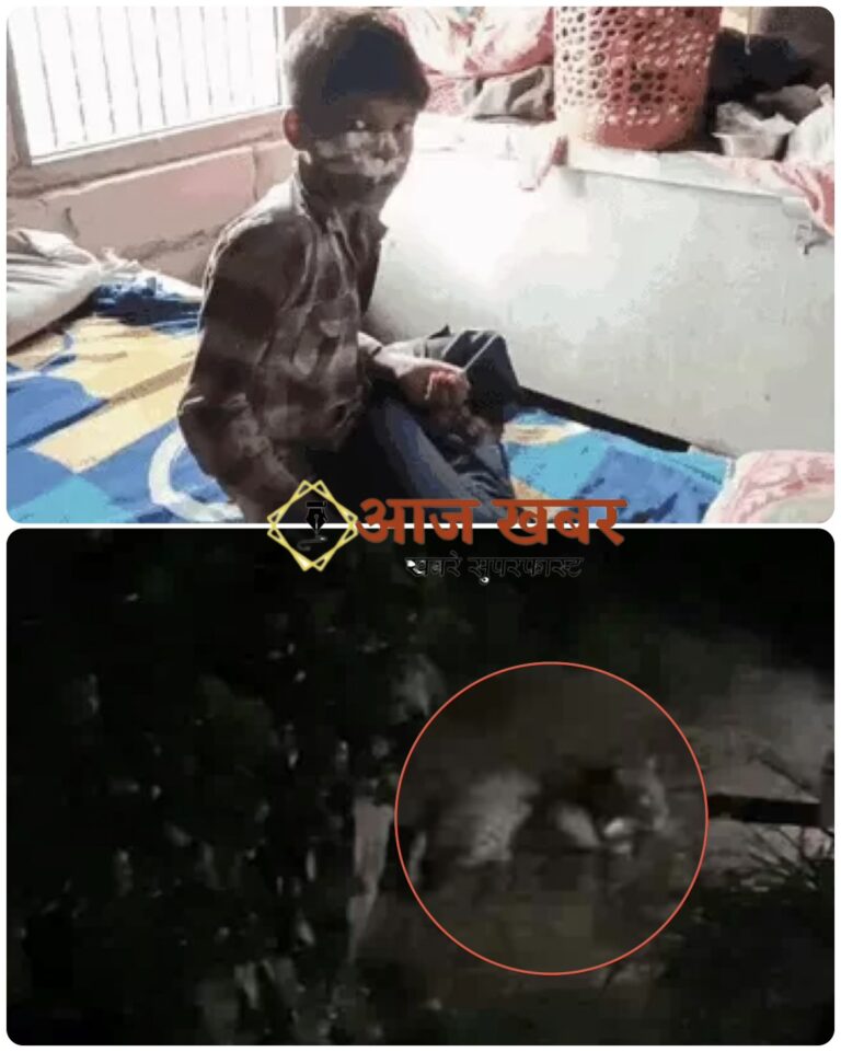 Nainital: नैनीताल में मासूम पर गुलदार का जानलेवा हमला, हिम्मत दिखाकर भिड़ा 10 वर्षीय बच्चा तो ग्रामीणों को देख भागा तेंदुआ
