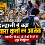Haldwani: हल्द्वानी में बढ़ा आवारा कुत्तों का आतंक, एक दिन में 40 लोगों को काटा